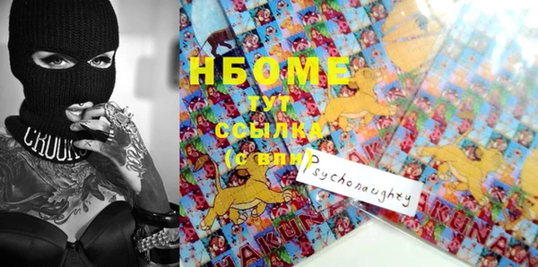 стаф Медногорск