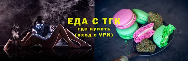 стаф Медногорск