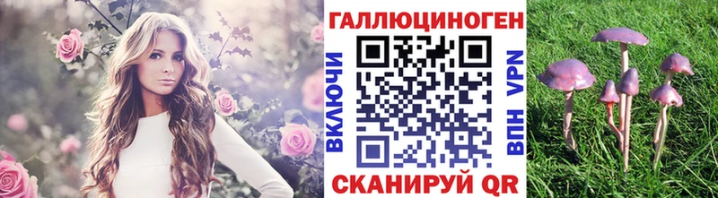 Псилоцибиновые грибы Psilocybine cubensis  Воронеж 