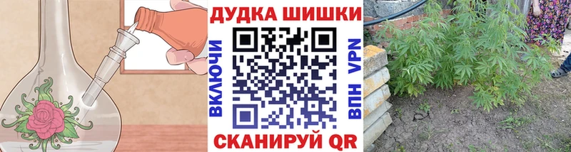 где продают   Воронеж  Бошки марихуана OG Kush 